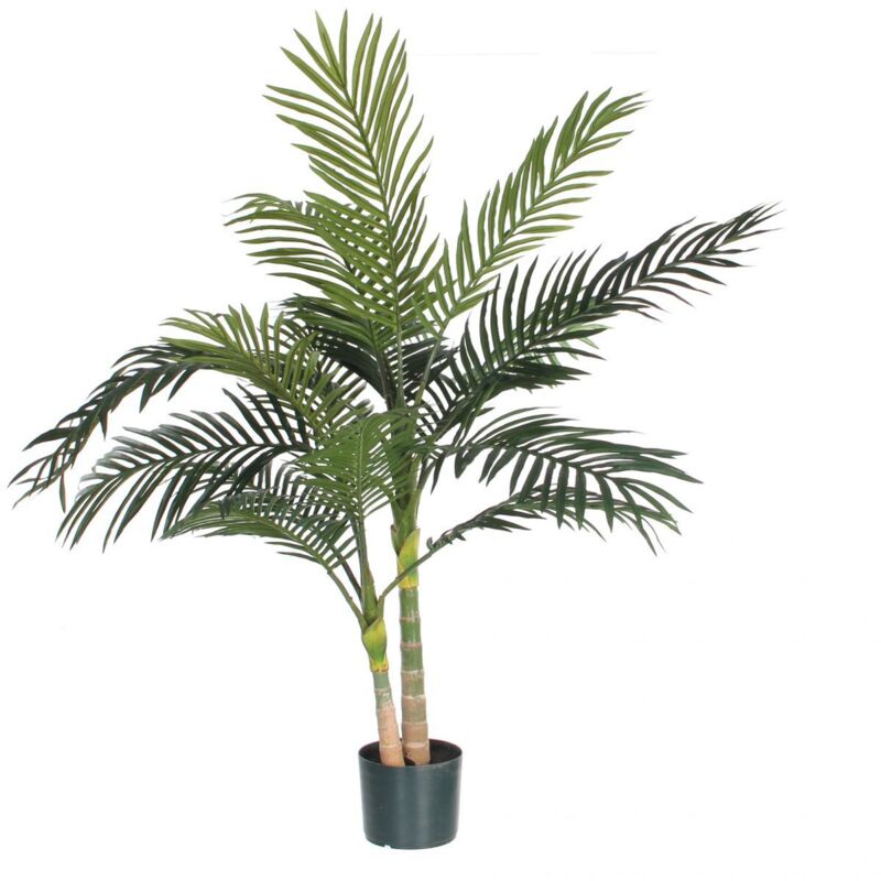 monstera adansonii erde Monstera Adansonii Mint – Foliage Dreams main image 1