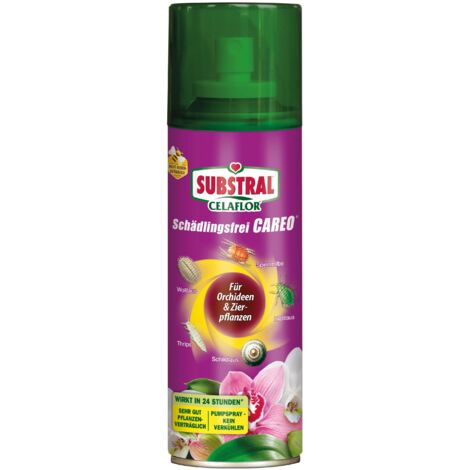 Substral Celaflor Schädlingsfrei Careo Orchideen & Zierpflanzen 200 ml Gebrauchsfertig