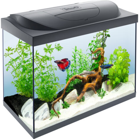 Tetra Starter Line Aquarium Set mit LED Fischfutter