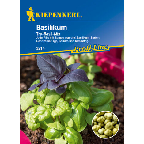 Violettes Basilikum Saatgut – Ca. 400 Samen, Samenfest, Dekorativ & Essbar
