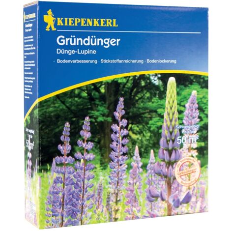 Kiepenkerl Gründünger Düngelupinen Lupinus angustifolius, Inhalt  1 kg Keine Angabe