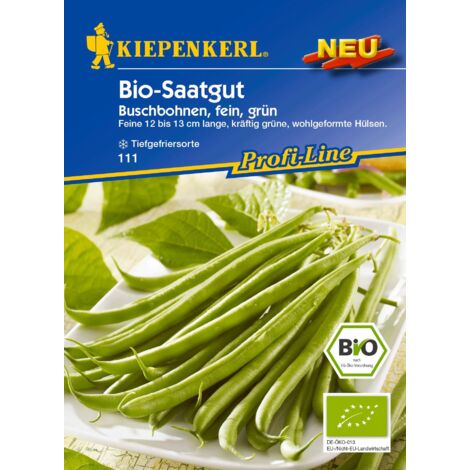 Bio Buschbohne 'Cupidon' Samen – Ca. 30 Stück, Aromatische Filetbohne Mit Langer Erntezeit