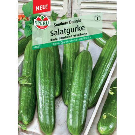 Sperli Salatgurke Southern Delight F1 Gemüsesamen
