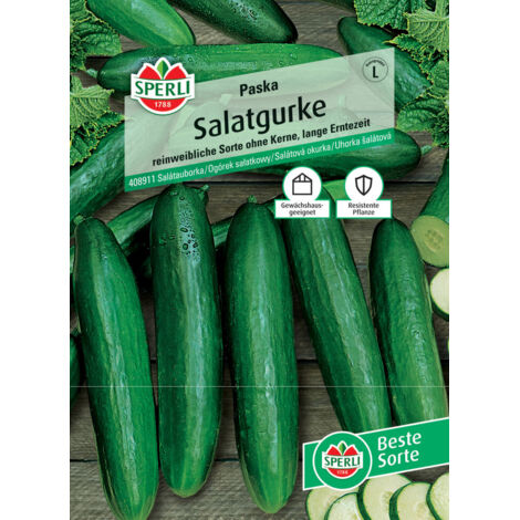 Sperli Salatgurke Paska F1 Gemüsesamen