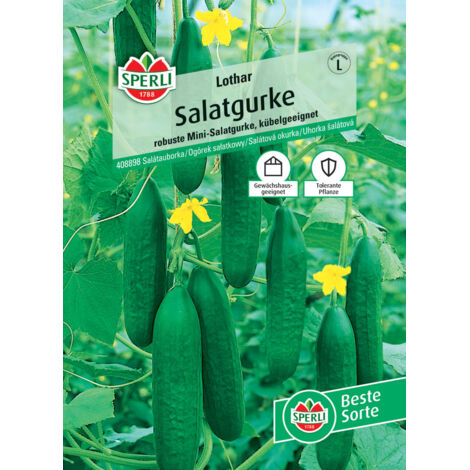 Sperli Salatgurke Lothar F1 Gemüsesamen