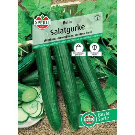 Sperli Salatgurke Bella F1 Gemüsesamen