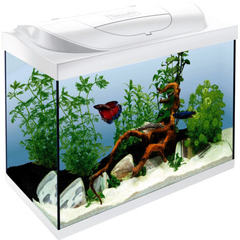Tetra Aquarium Starter Line LED 80 L weiß Aquarium