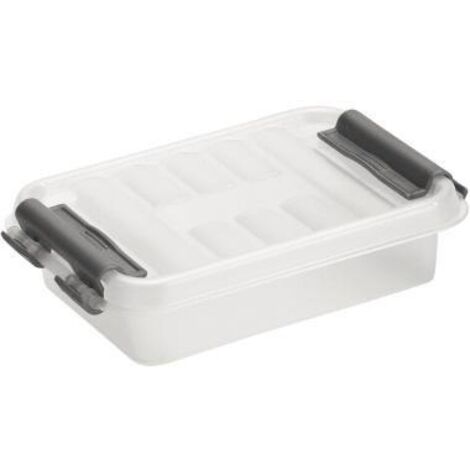 Sunware Kunststoff-Box Q-Line 0,2 l transparent 11,8x7,7x3 cm Aufbewahrungsbox (1/3)