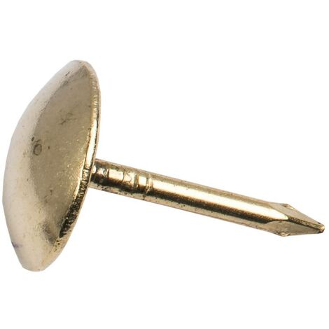 Polsternägel 10,0 x 12,5 mm Rundkopf- & Polsternägel (1/2)
