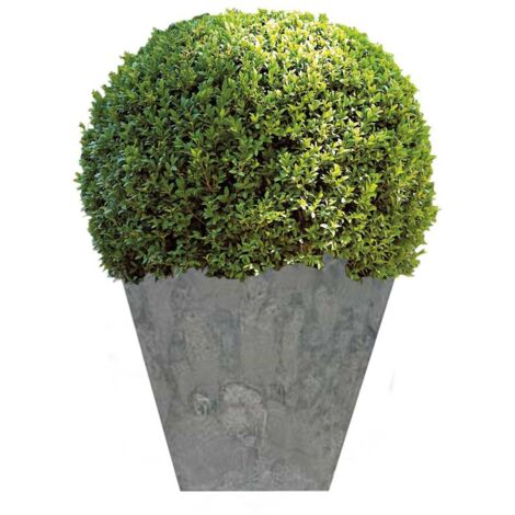 TrendLine Blumentopf Ella 35x35 cm Blumenkbel Pflanztopf grau frostsicher