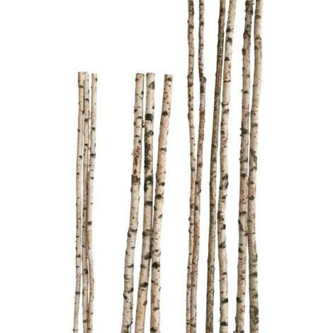 Birkenstamm 90 cm - ø 2-4 cm Birkenholz Birke Deko Holz
