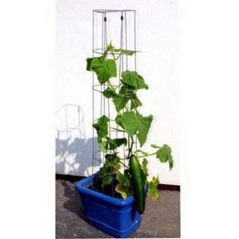 Bellissa Gurkenturm 120 cm hoch Spalier Rankhilfe Rankgitter