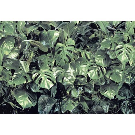 Komar Fototapete Verdure 368 x 254 cm Fototapeten & Poster (1/2)