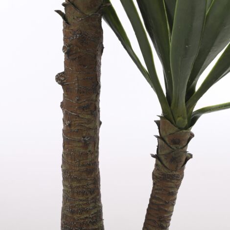 39+ Yucca Im Topf Pflanzen Youtube, Welche tipps ihnen helfen und