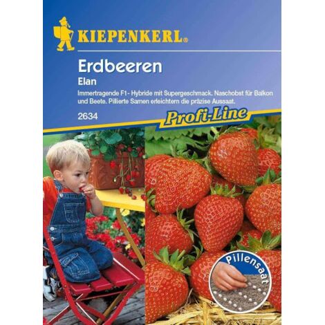 Kiepenkerl Erdbeere Elan Fragaria ananassa, Inhalt  8 Pillen Obst- & Gemüsesamen