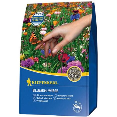 Kiepenkerl Saatgut Blumen-Wiese ca. 25 qm Blumensamen