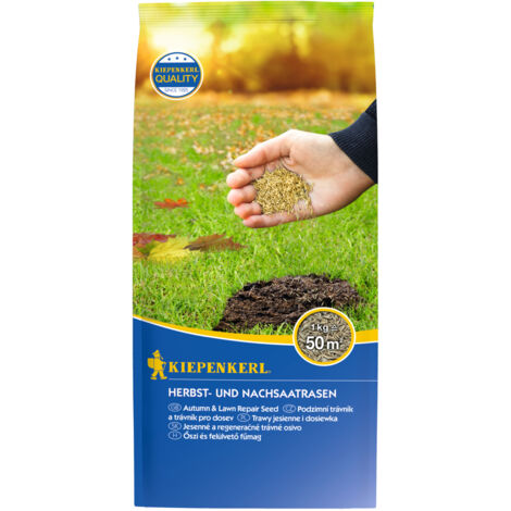 Kiepenkerl Saatgut Herbst- und Nachsaatrasen 1 kg, für 50 m² Rasensamen