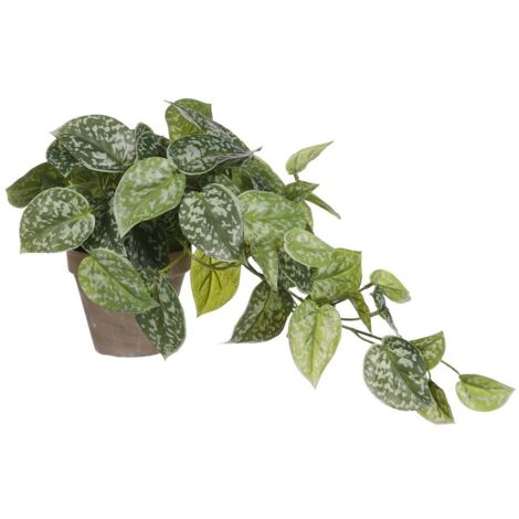 Mica künstlicher Scindapsus grün im Topf 44 x 17 cm Dekoblumen (1/3)