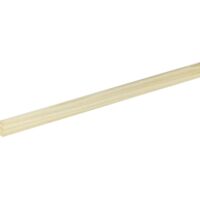 FN Neuhofer Flachleiste 100 cm 13 x 5 mm Fichte/Kiefer Leisten