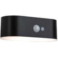 Paulmann LED Solarleuchte Adya schwarz 6 x 18 x 11,8 cm mit Bewegungsmelder LED Solarleuchte
