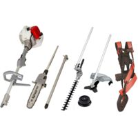 Ikra Benzin Multitool IBMT 52 Rasentrimmer