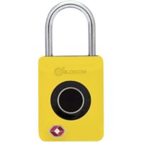 Südmetall Vorhängeschloss mit Fingerabdruck-Scan 30 x 18 mm Vorhangschloss
