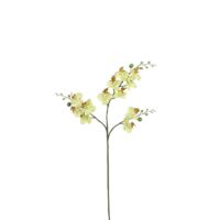 Mica künstliche Phalaenopsis grün, 75 cm Kunstpflanzen