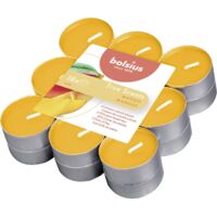 Bolsius Duftteelichter True Scents Mango Ø 3,8 cm, 18er Pack Teelichter