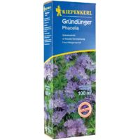 Kiepenkerl Gründünger Phacelia Phacelia tanacetifolia, Inhalt 400 g Gemüsesamen