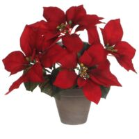 Seidenblumen Roß Weihnachtsstern 36cm Rot Im Schwa Produktbild-Vorschau 6