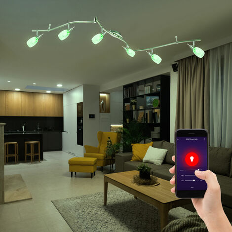 Lampe lumineuse en bambou suspendue au plafond à boule intelligente, à  intensité variable, contrôlable via l'application, langue de téléphone  portable dans un ensemble comprenant des sources lumineuses à LED RVB