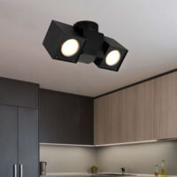Plafonnier plafonnier spot orientable métal noir 2 lampes