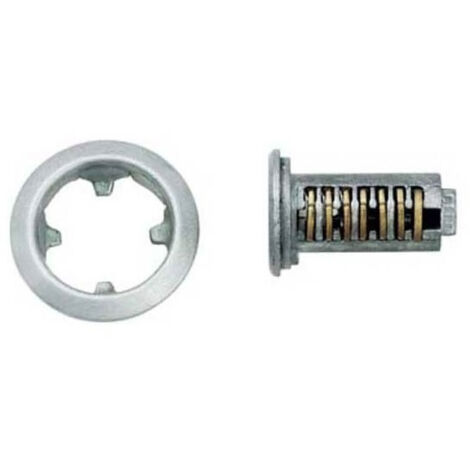 Barillet interchangeable 6 paillettes – 2 clés nickelées – Rosace Ø16,5 mm – Système S/PG pour changement facile – Ojmar (1/2)