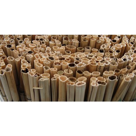 Bambú cañizo entero. 1x5m