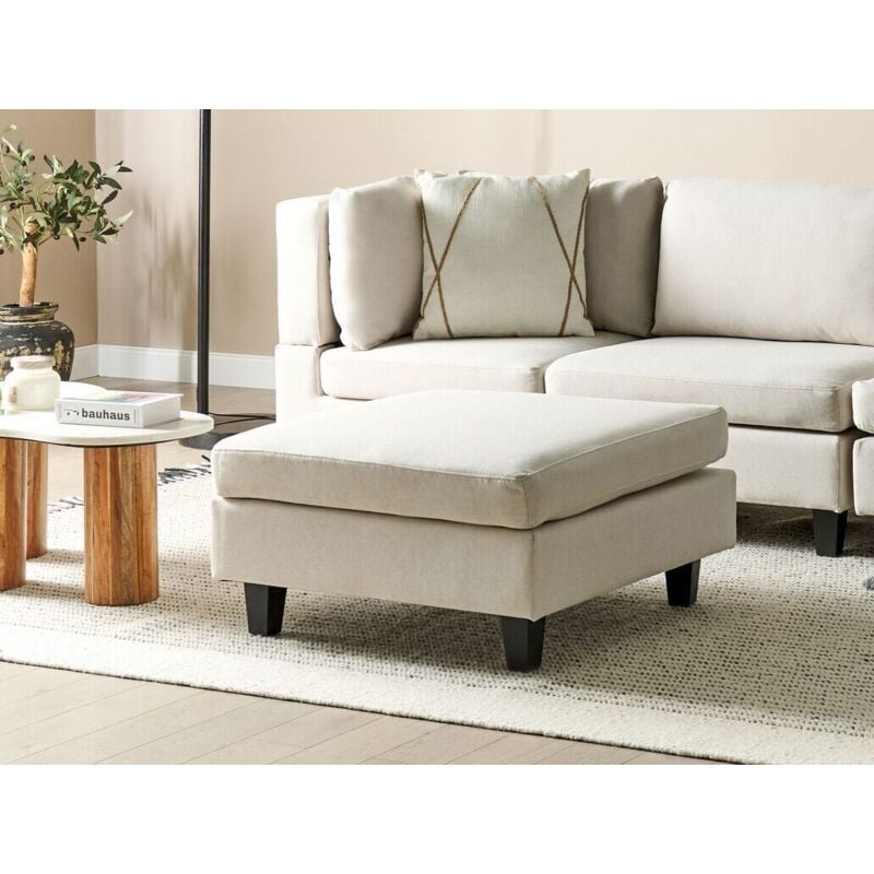 Cassapanca Contenitore Da Interno Pouf Contenitore Tidyard