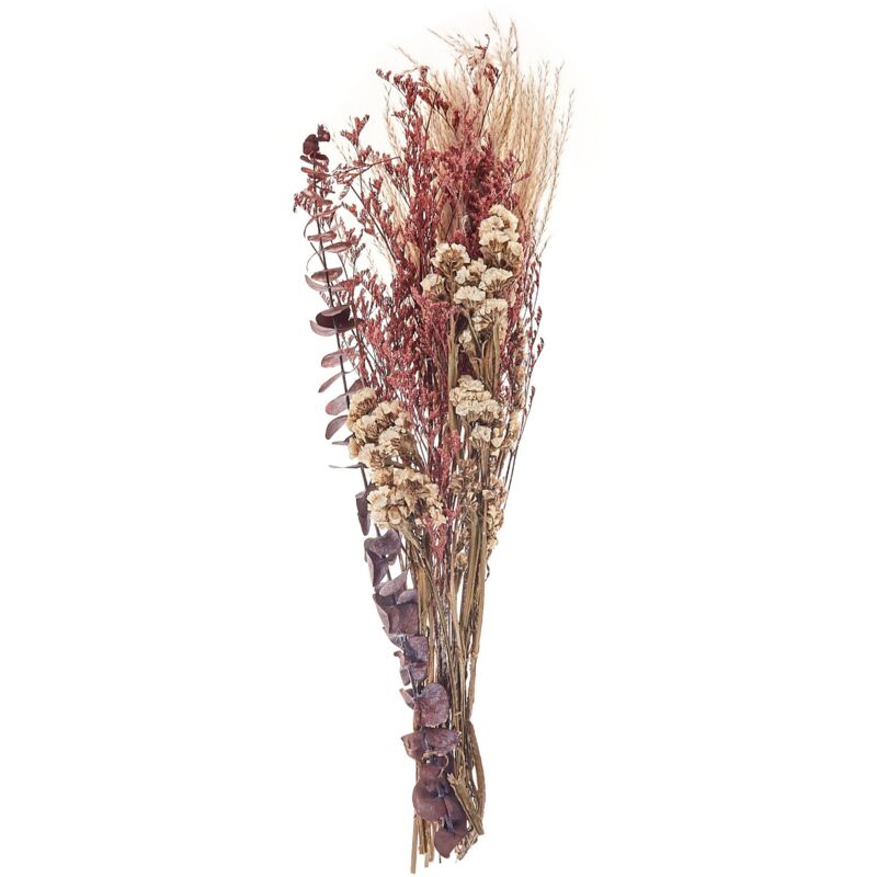 Mazzo di fiori secchi decorativi rosa 55 cm Araba - beliani