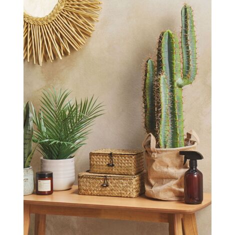 Piante succulente artificiali Cactus finto-decorative Piante