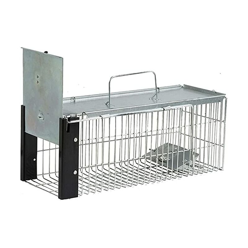 Cage piège à rats