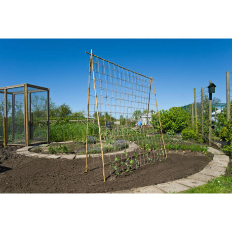 Filet à Plantes 1.8x3.6m - Maille 10x10cm - Pour Tomates/concombres/vignes