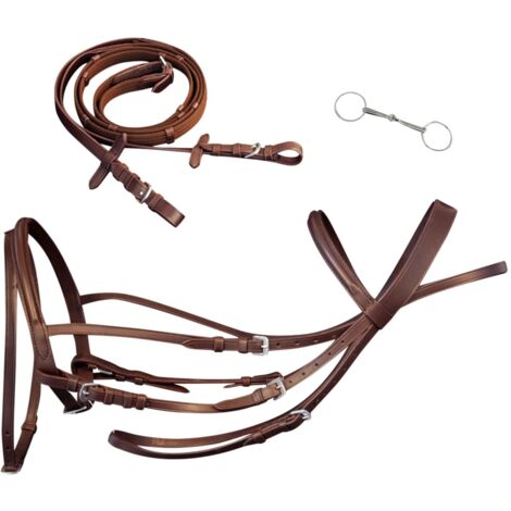 Bride Double Complète Pour Cheval Cob Avec Rênes - Estampillée Angleterre