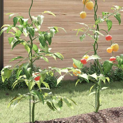 Support Tomates Jardin Tuteurs Spirales WERKA PRO - Lot De 5, Acier Galvanisé 1,8m Support Plantes Jardin Support Tomates Jardin Tuteurs Spirales WERKA PRO - Lot De 5, Acier Galvanisé 1,8m Support Plantes Jardin