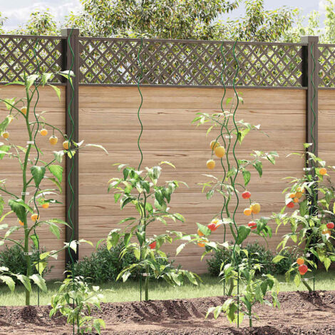 WERKA PRO Lot De 5 Tuteurs Spirales Acier Vert 1,8 M - Support Plantes Grimpantes Tomates Rosiers, Revêtement Époxy Résistant