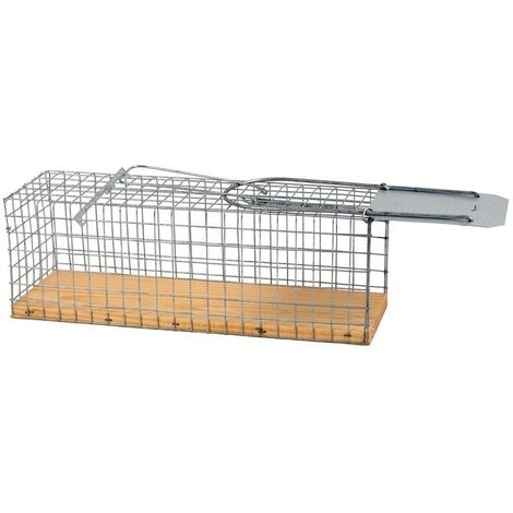 Cage de piège à souris en fil galvanisé