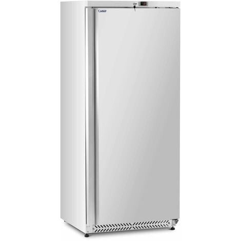 Grand congélateur armoire vertical professionnel pose libre (590 litres,  492 watts, classe énergétique : d, -22-18