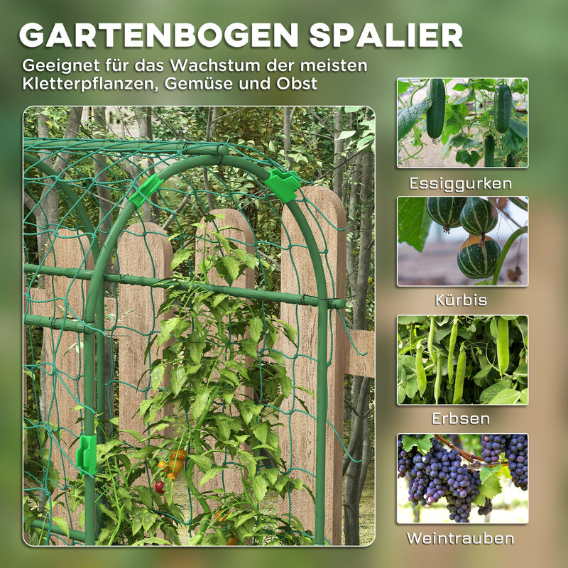 Gartenspalier Für Kletterpflanzen – Ranknetz Für Gurken, Tomaten & Erbsen (5x2 M)