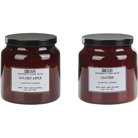 Conjunto de 2 velas aromáticas 100% cera de soja mecha de algodón vidrio fragancia fresca manzana golden/cuero Absolute Alchemy