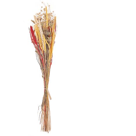 Ramo de flores secas rojo amarillo natural marrón 65 cm envuelto papel Pampeluna (1/5)