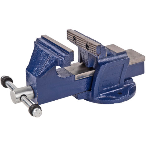 Guss-Schraubstock 100 mm (1/5)