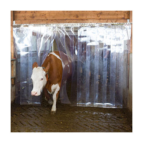 Bandes PVC transparentes Kerbl - Dimensions Bande/50/30/3