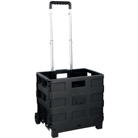 Carrello Trolley Shopping